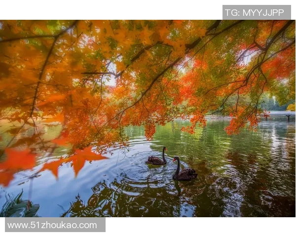 木浦市与大邱的魅力对决探索两座城市的独特风情与文化差异 木浦市与大邱的魅力对决探索两座城市的独特风情与文化差异